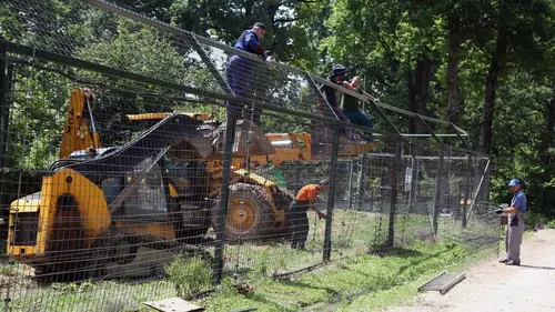 L'ours du Trentin : L'impossible cohabitation ?