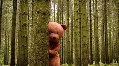 L'ours noir