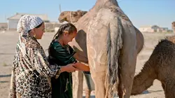 L'Ouzbékistan à bord de l'Express de la soie