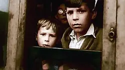 La 2e Guerre mondiale en couleur La guerre éclair