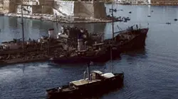 La 2e Guerre mondiale en couleur  L'aigle et le renard