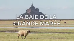 La baie de la grande marée