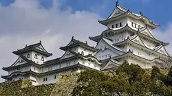 Visuel de La balade du Sakura