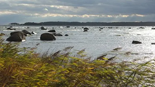 La Baltique sauvage E01 La côte