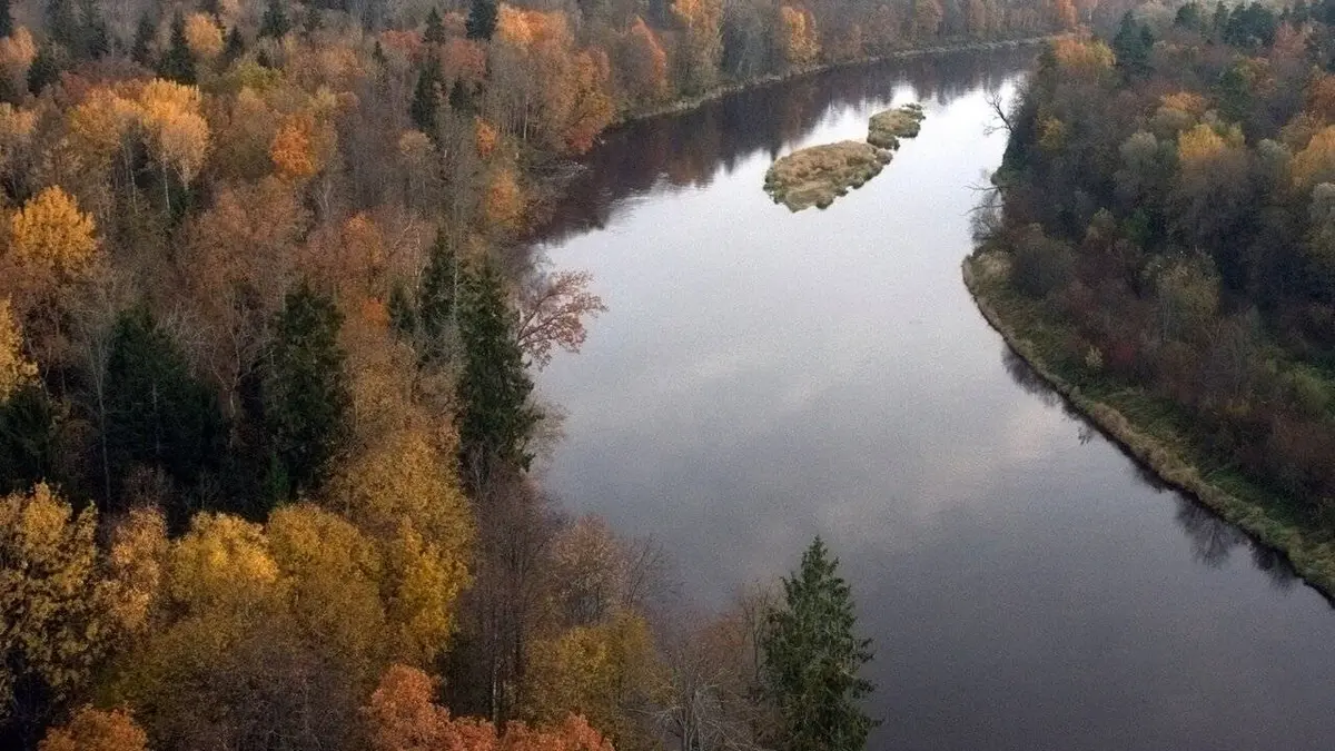 La Baltique sauvage S01E01 Forêts et marais