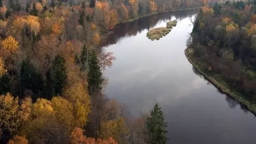La Baltique sauvage S01E01 Forêts et marais