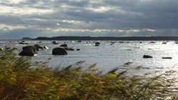 La Baltique sauvage E01 La côte