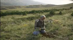 La bataille du cèdre