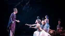 Visuel de La Bayadère