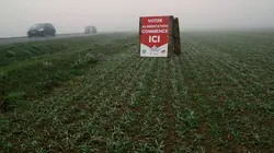 La beauce, le glyphosate et moi