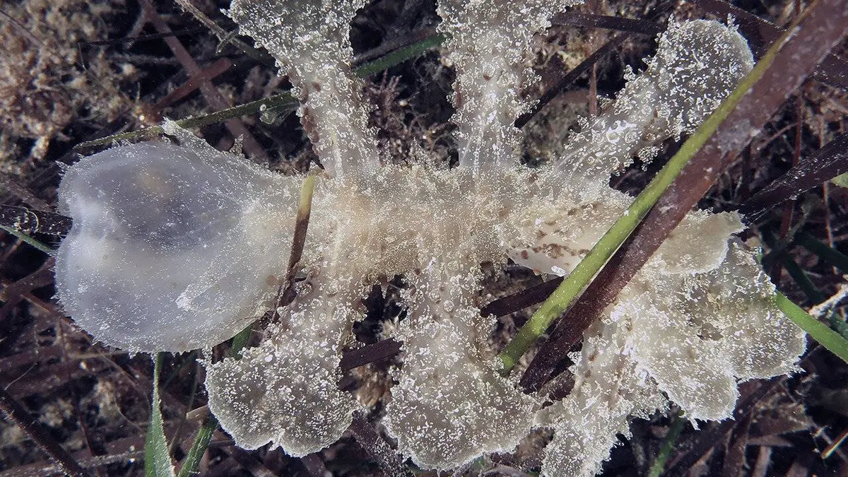 La beauté sauvage des Balkans
