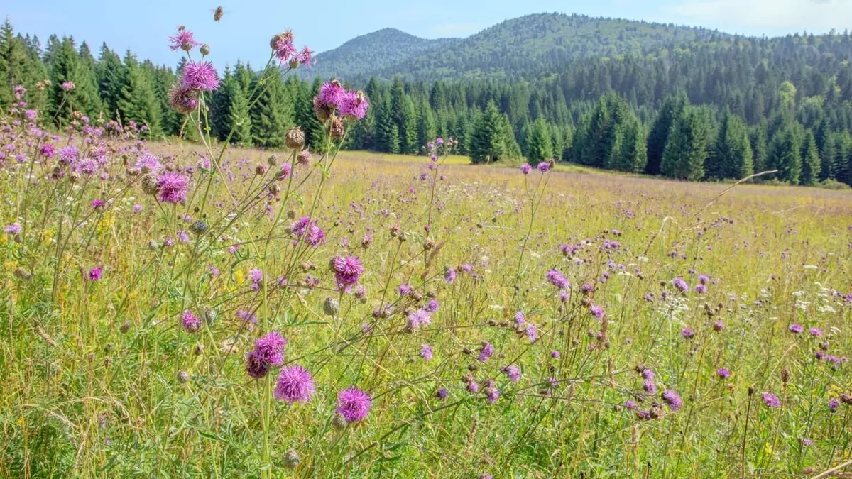 La beauté sauvage des Balkans Croatie