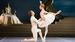 La Belle au bois dormant