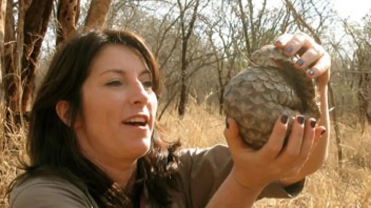 Casting La belle et les bêtes