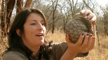 Les cinq fantastiques