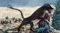 La bête du Gévaudan, autopsie d'un mythe