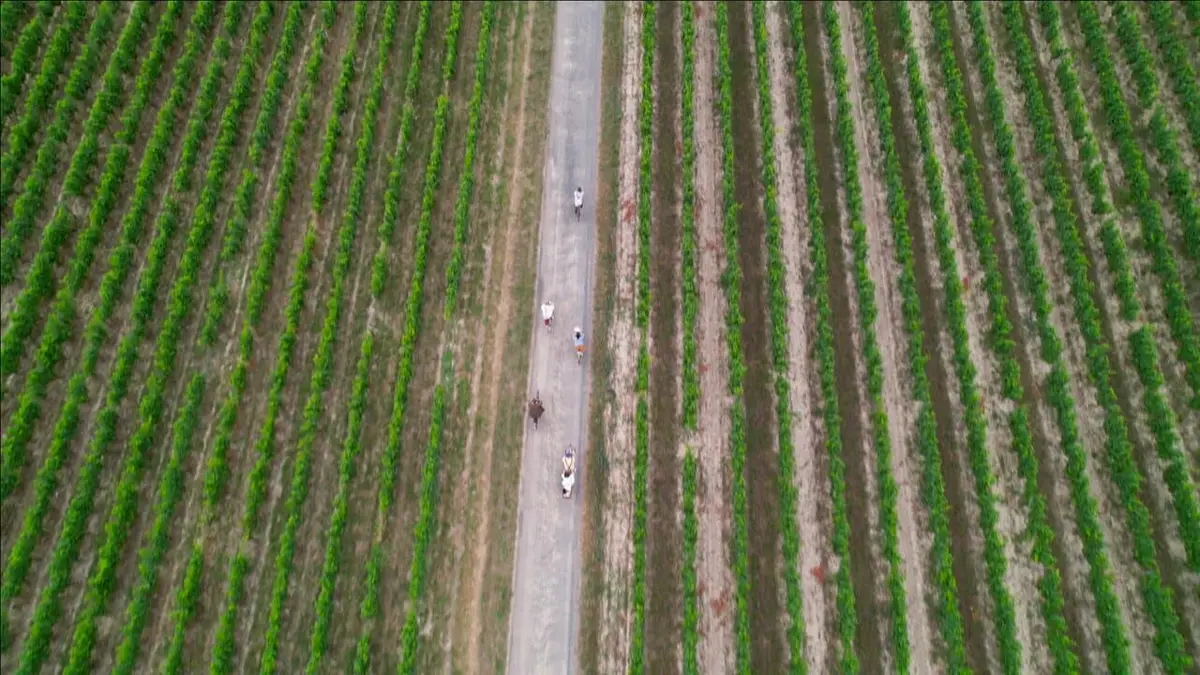 La bicyclette fait sa vélorution