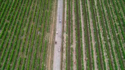 La bicyclette fait sa vélorution