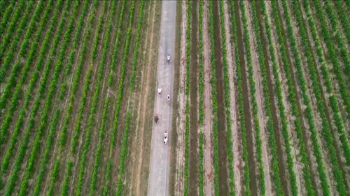 La bicyclette fait sa vélorution