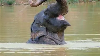 Thaïlande, bassin fluvial