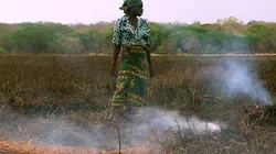 Visuel de La biodiversité menacée