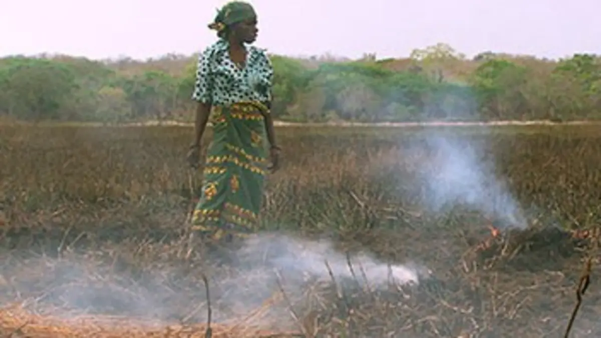 La biodiversité menacée Quelles solutions pour demain ?