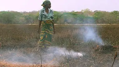 La biodiversité menacée Quelles solutions pour demain ?