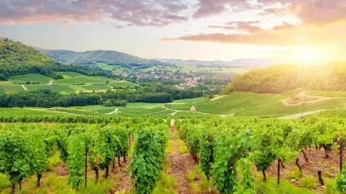 La Bourgogne à la conquête du monde
