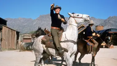 La brigade du Texas