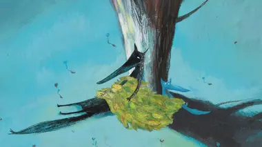 Grand loup et petit loup