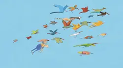 La cabane à histoires S02E01 Les oiseaux