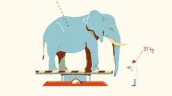 La cabane à histoires S02E11 Le bureau des poids et des mesures