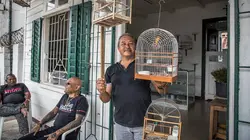 La cage aux oiseaux : Le commerce des oiseaux exotiques