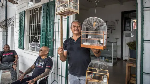 La cage aux oiseaux : Le commerce des oiseaux exotiques