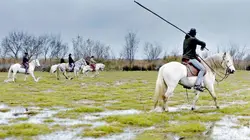 La Camargue : sauvage et fragile