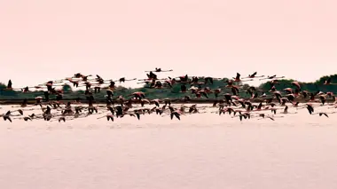 Le royaume de l'eau douce