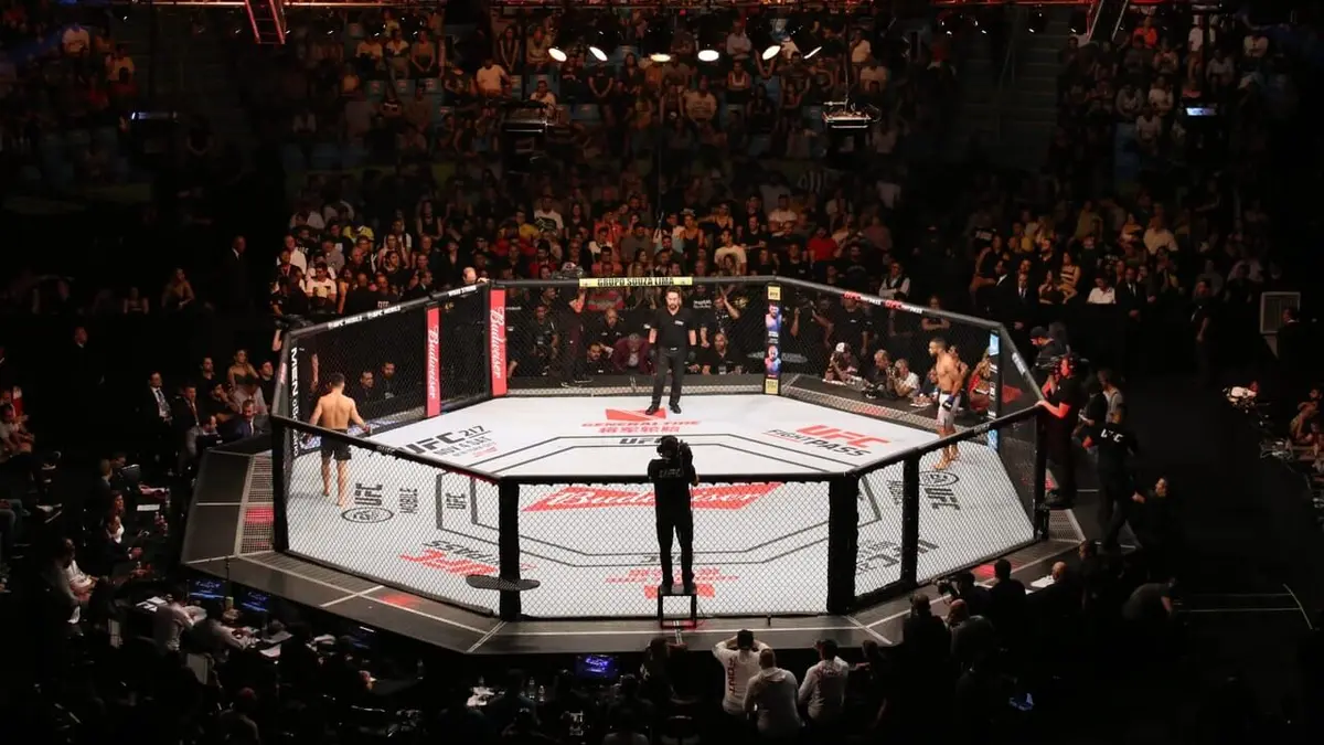 La carte MMA UFC 2024