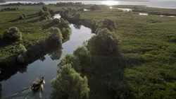 Visuel de La ceinture verte européenne