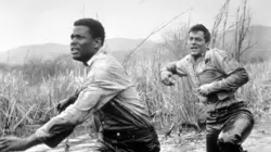 La chaîne en streaming