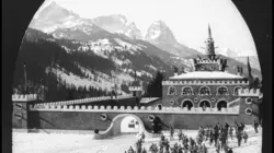 La chatte des montagnes