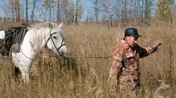 La chevauchée d'un facteur dans la taïga