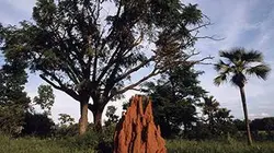 La citadelle assiégée