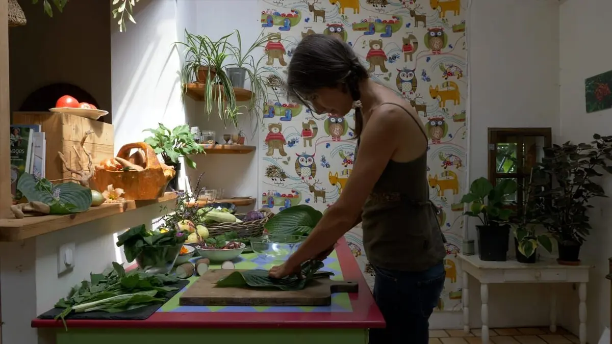 La civilisation des arbres La cuisine de Laurie