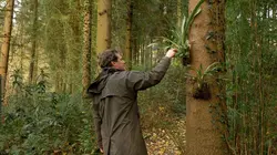 La civilisation des arbres Le Jardin Jungle