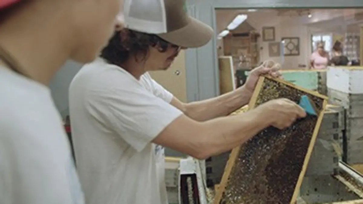 La classe ouvrière Foire, miel et tacos