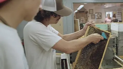 La classe ouvrière Foire, miel et tacos