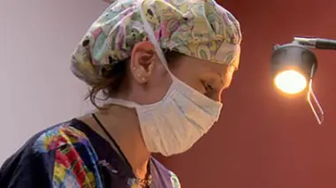 Le cochon nain au régime