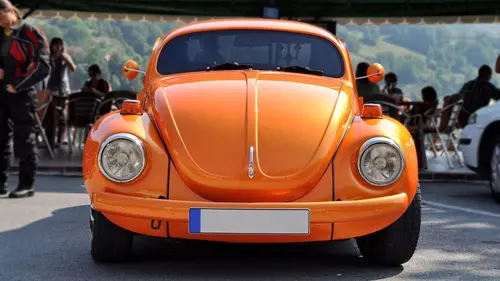 La coccinelle la petite bête qui roule, qui roule