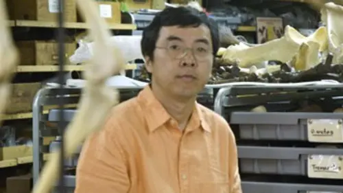 La collision des continents