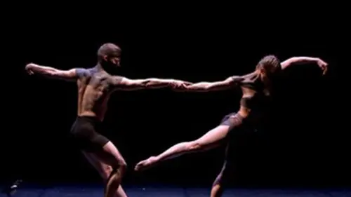 La Confidence des oiseaux